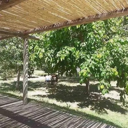 Cabaña Guadalupe Tupungato Exterior foto